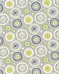 Enlightened Mimosa by  Kasmir 