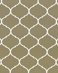 Escena Cappuccino by   