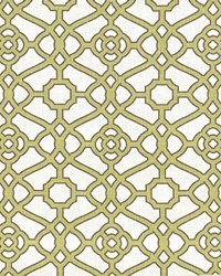 Esquire Kiwi by  Kasmir 