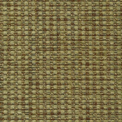 Kasmir Esteban Leaf in GRAND TRADITIONS VOL 1 Green Upholstery Viscose  Blend Fire Rated Fabric Traditional Chenille  Small Scale Plaid  Plaid and Tartan  Fabric