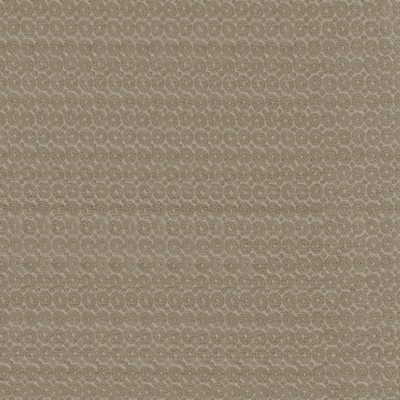 Kasmir Fantina Smoke in 5100 Grey Upholstery Polyester  Blend Fire Rated Fabric Traditional Chenille   Fabric