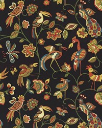 Fine Feathered Thunder by   