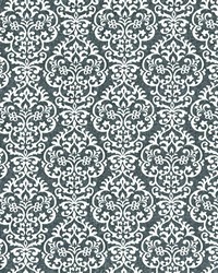 Frescatta Bluebell by   