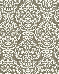 Frescatta Graphite by   