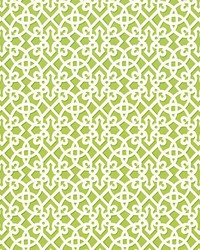 Fuerte Spring by  Kasmir 