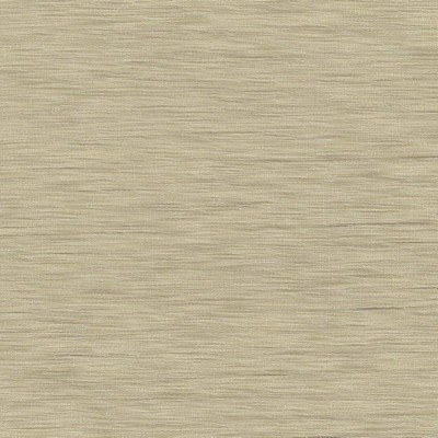 Kasmir Gainsford Hemp in GAMBIT Brown Polyester  Blend Fire Rated Fabric Solid Faux Silk   Fabric