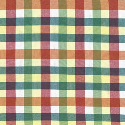Kasmir Grimaldi Check Summer in 5069 Multi Upholstery Cotton  Blend Fire Rated Fabric Plaid and Tartan  Fabric