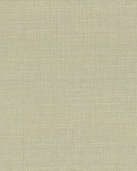 Harbinger Celery Seed by  Kasmir 