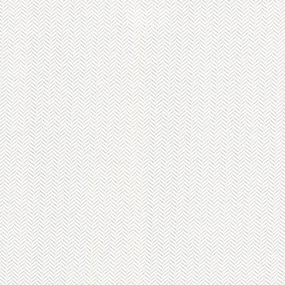 Kasmir Hypnotic White in 5092 White Polyester  Blend Fire Rated Fabric Herringbone   Fabric