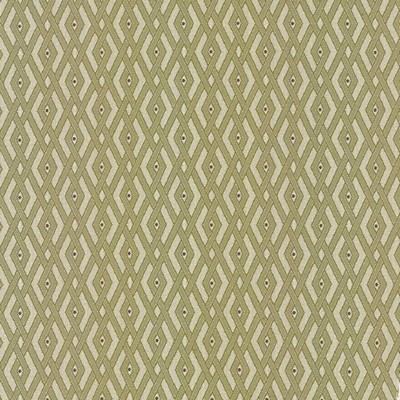 Kasmir Interlink Wasabi in 5090 Green Upholstery Polyester  Blend Fire Rated Fabric