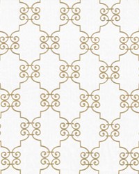 Ionic Scroll Winter by   