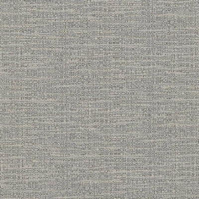 Kasmir Ipanema Cashmere in 5036 Grey Upholstery Cotton  Blend