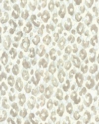 Jungle Safari Breeze by  Kasmir 