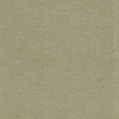 Kasmir Kibatu Sage in 5099 Green Upholstery Acrylic  Blend Fire Rated Fabric Traditional Chenille   Fabric