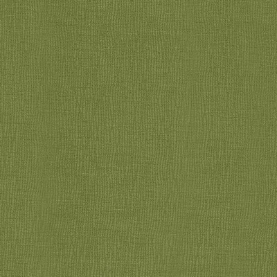 Kasmir Kintu Leaf in 5099 Green Upholstery Polyester  Blend Fire Rated Fabric Traditional Chenille  Solid Color Chenille   Fabric