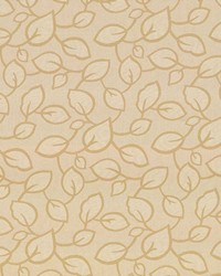 Las Brisas Kernel by  Collier Campbell 