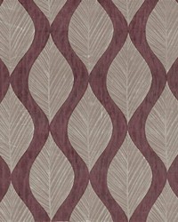 Leaf Study Elderberry by   