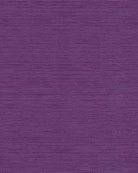 Ling Grape by  Kasmir 