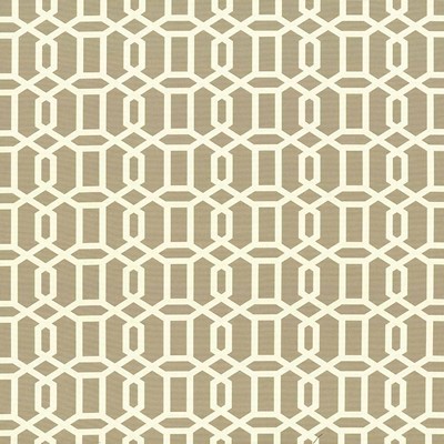 Kasmir Lowry Place Sand in TAG-A-LONGS VOL 10 Beige Upholstery Cotton  Blend Fire Rated Fabric