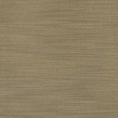 Kasmir Luxe Nickel in 1447 Silver Upholstery Rayon  Blend Fire Rated Fabric