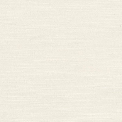 Kasmir Luxe Paper White in 1447 White Upholstery Rayon  Blend Fire Rated Fabric