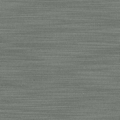 Kasmir Luxe Pewter in 1447 Silver Upholstery Rayon  Blend Fire Rated Fabric
