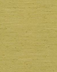 Macao Citrine by  Kasmir 