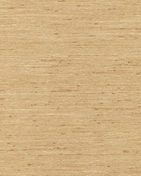 Macao Nectar by  Kasmir 