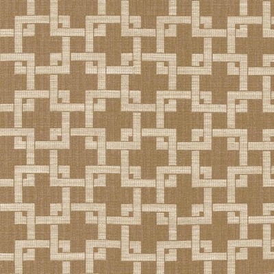 Kasmir Maoming Straw in 5111 Yellow Upholstery Polyester  Blend