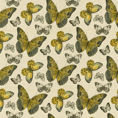 Kasmir Mariposa Jardin Citron in 5062 Green Upholstery Cotton  Blend Fire Rated Fabric Insect   Fabric