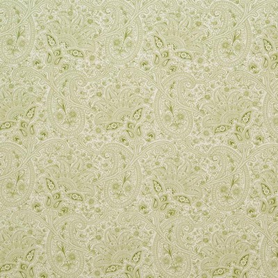 Kasmir Marlwood Paisley Snow Pea in GRAND TRADITIONS VOL 1 Upholstery Cotton  Blend Fire Rated Fabric Vine and Flower  Classic Paisley   Fabric