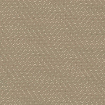 Kasmir Martinez Macaroon in TAG-A-LONGS VOL 10 Brown Upholstery Polyester  Blend Fire Rated Fabric