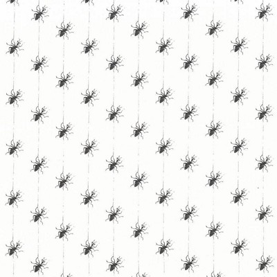 Kasmir Miss Spider Spider Web in 1445 Multi Cotton  Blend Insect   Fabric