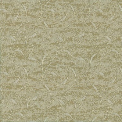Kasmir Mocambo Eucalyptus in 5037 Green Upholstery Cotton  Blend Vine and Flower  Scroll   Fabric