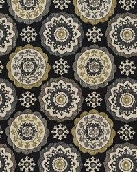 Montezuma Ebony by  Kasmir 