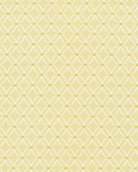 Monticello Champagne by  Kasmir 