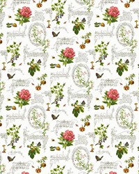 Nature Walk Limestone by   