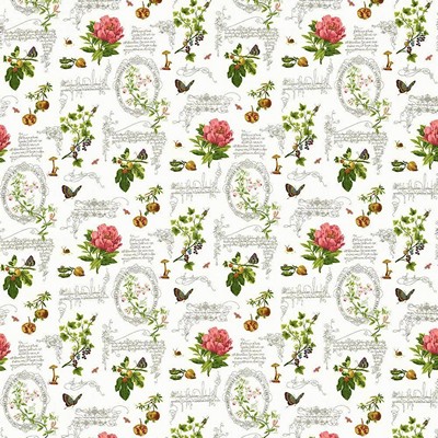 Kasmir Nature Walk Limestone in 5106 Grey Cotton  Blend Insect  Vine and Flower   Fabric