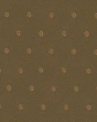 Nepal Avocado by  Kasmir 