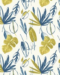 Paesano Split Pea by   