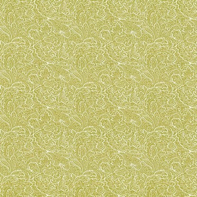 Kasmir Parterre Lime in 1427 Green Cotton  Blend Vine and Flower  Classic Paisley  Scroll   Fabric