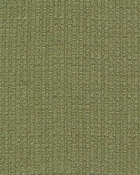 Pebble Beach Moss by  Kasmir 