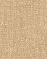 Pebble Beach Taupe by  Kasmir 