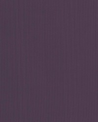Pietra Stripe Grape by   