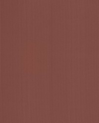 Pietra Stripe Marsala by   