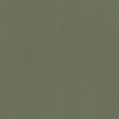 Kasmir Pietra Stripe Pine in 5099 Dark Green Upholstery Polyester  Blend Fire Rated Fabric NFPA 701 Flame Retardant   Fabric