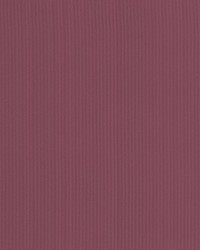 Pietra Stripe Raspberry by   
