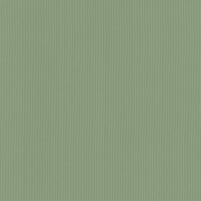 Kasmir Pietra Stripe Sage in 5099 Green Upholstery Polyester  Blend Fire Rated Fabric NFPA 701 Flame Retardant   Fabric