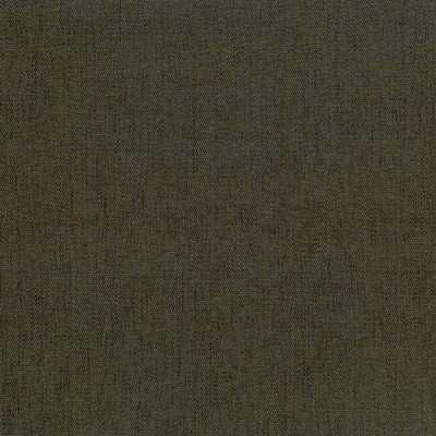 Kasmir Pinnacle Basil in FULL SPECTRUM VOL 6 Brown Upholstery Polyester  Blend Fire Rated Fabric Traditional Chenille   Fabric