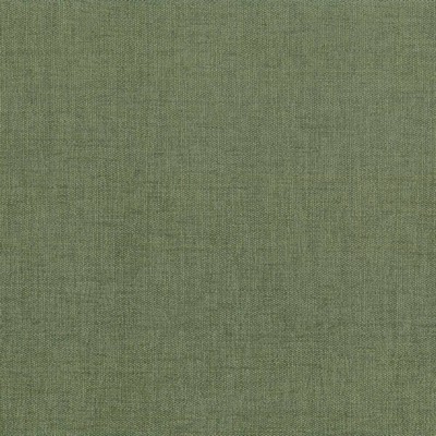 Kasmir Pinnacle Fern in 5046 Green Upholstery Polyester  Blend Fire Rated Fabric Traditional Chenille   Fabric